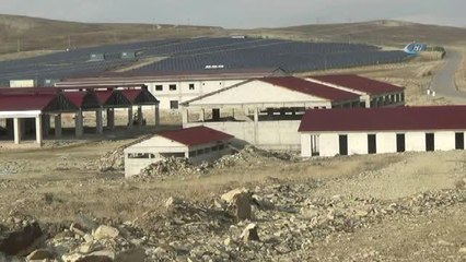 Hayvancılığın Kalbi Bayburt'ta Atacak