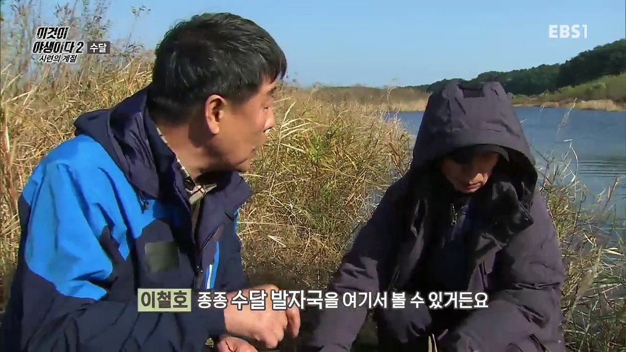 이것이 야생이다 2 - 5부- 수달_#001