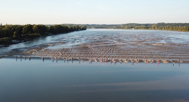 Adrénaline - Surf : Le mascaret, une vague a partager.