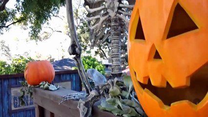 Halloween Home Haunt Ghost Town Display: Official Day Time Walk Through