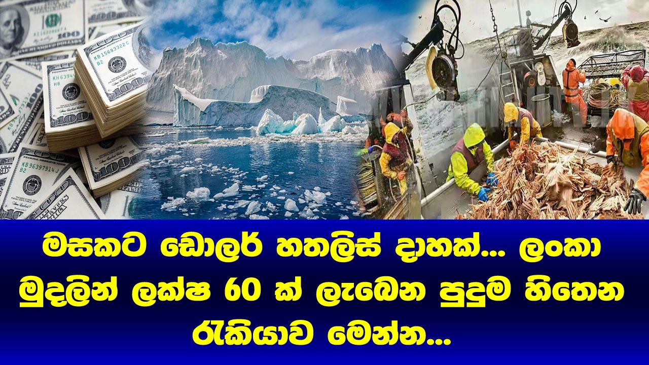 මසකට ලක්‍ෂ 60 පඩියක් ලැබෙන රැකියාව මෙන්න​