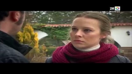 SAM7INI 1317 2Mtv Overview