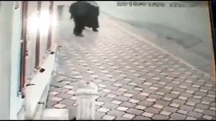 Yaptığı anlamsız haraketle fenomen olan ‘judocu dayı’