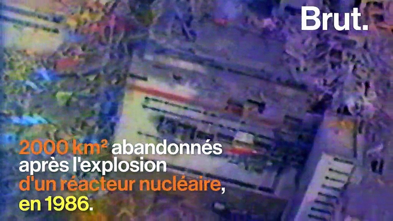 L’Ukraine va construire une centrale solaire à Tchernobyl, "à cent mètres du réacteur qui a explosé en 1986"