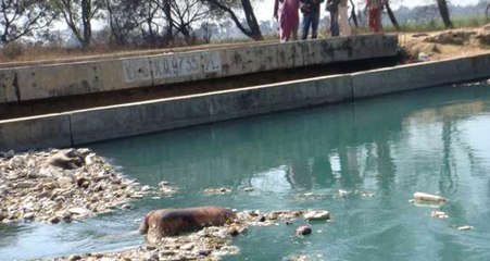 Hindistan Ayağa Kalktı! 15 Yaşındaki Kayıp Kız İşkenceden Tanınmayacak Halde Bulundu
