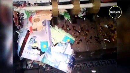 القبض على فئران أكلت نقود بنك بباكستان