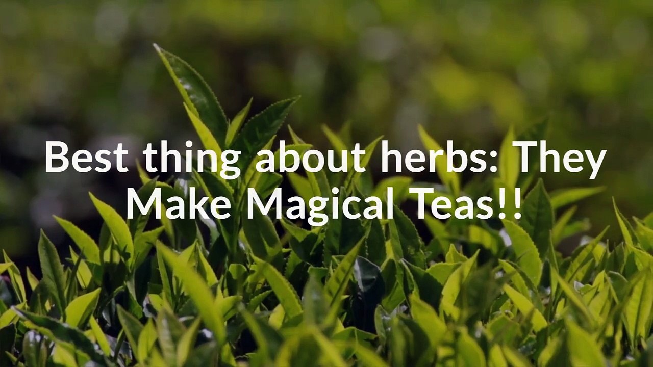 TEA TIME Everyone!!!
