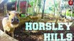 रोमांचक यात्रा : Mysore से Horsley Hills की सिल्‍की ड्राइव