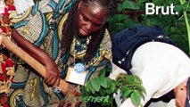 Wangari Maathai, la première femme africaine à avoir reçu le prix Nobel de la Paix