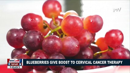 GLOBAL NEWS: Blueberries give boost to cervical cancer therapy
