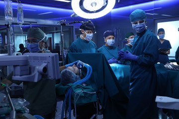 Full Watch - The Good Doctor Season 1 Episode 13 [High Quality Videos]