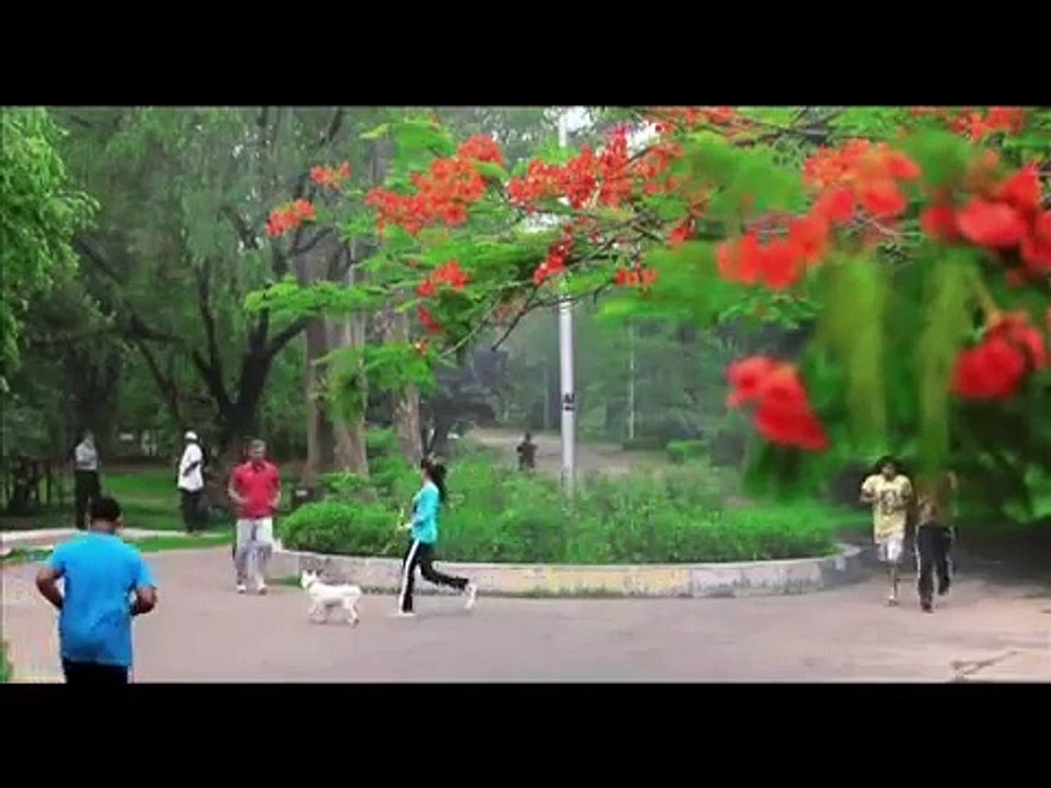 SEYLON Premium Tea Tvc - 'No Stapler Pin'