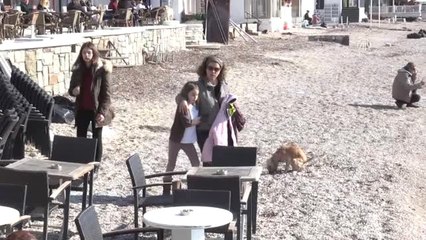 Bodrum'da Ocak Güneşi Sahilleri Coşturdu