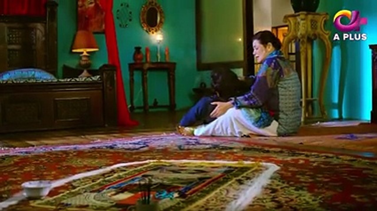 Dil Nawaz - Episode 19