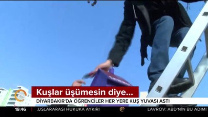Kuşlar üşümesin diye...