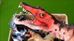 New Dinosaurs Box Toys. Dinosaur T Rex, Spinosaurus, Dragons, Allosaurus, Baby Alligator, Gorilla