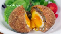 Scotch Eggs (Japanese-inspired Recipe) | Cooking with Dog