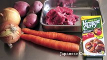 Curry and Rice Recipe - Japanese Cooking 101