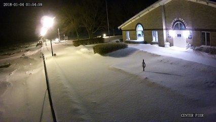 Fox and Owl Face Off