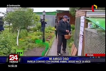 Conozca a Stephan, el oso domesticado que vive con una familia en Rusia