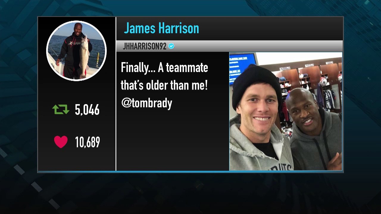 Former Steelers LB James Harrison Signs With Patriots