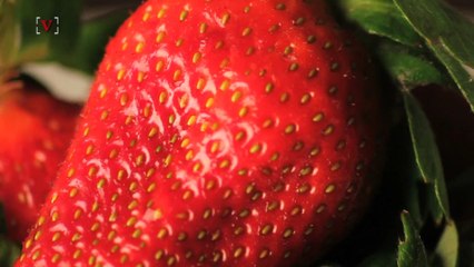 Trump 'Gifted' with Favorite Candy from House Majority Leader