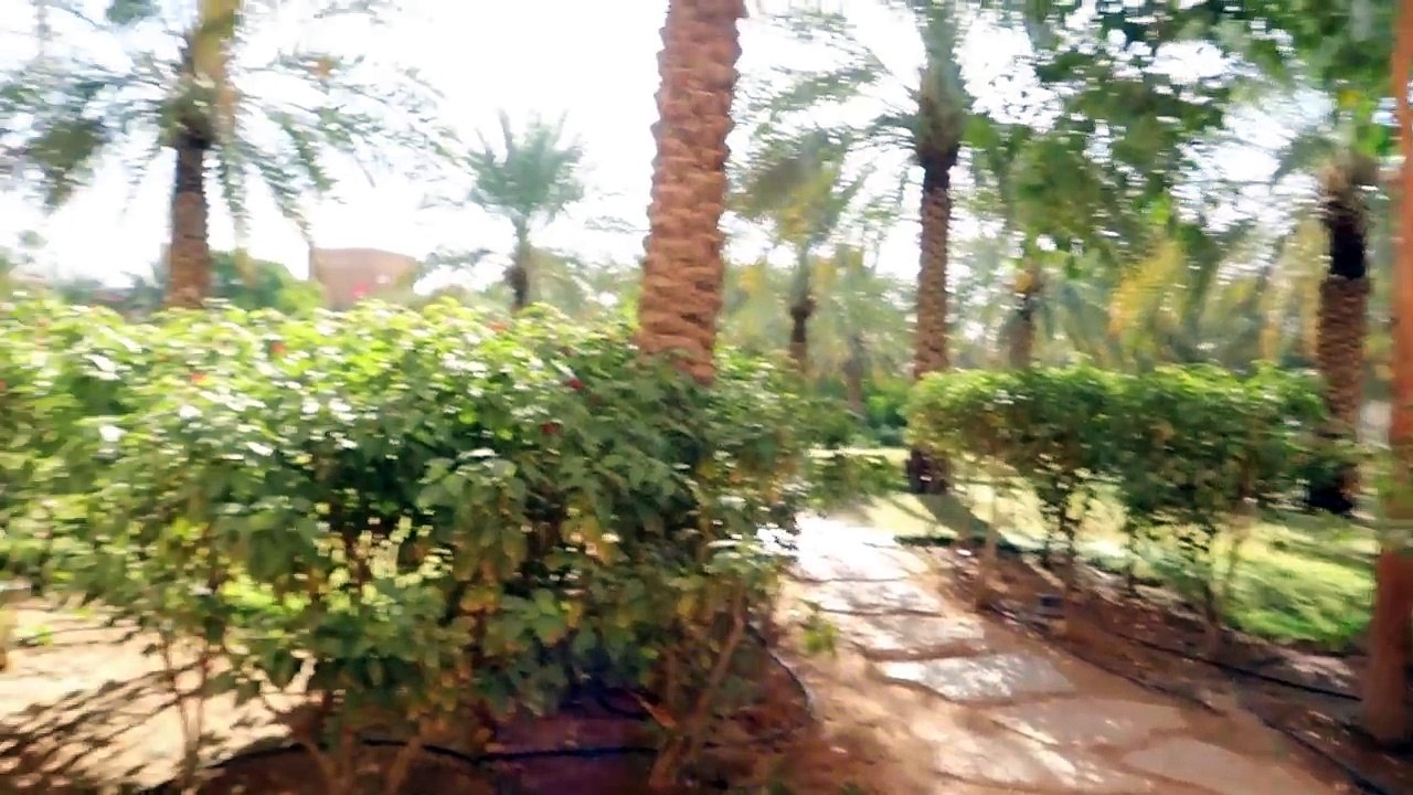 تسلقنا جدار ! | فلوق#١٣ vlog