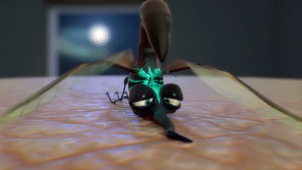 CGI Animated Short Film HD  The Itch Short Film  by Yang Huang
