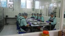 Taiwan prisoners turn artisan chefs as 'jail food' takes off[3]