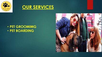 DOG BOARDING CENTRE – DOG’S SECOND HOME