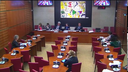 Fibromyalgie : Mme Brigitte Merle-Vignau (CENAF) ; Mme Carole Robert, pdte de l'Association fibromyalgie France - Mardi 14 juin 2016