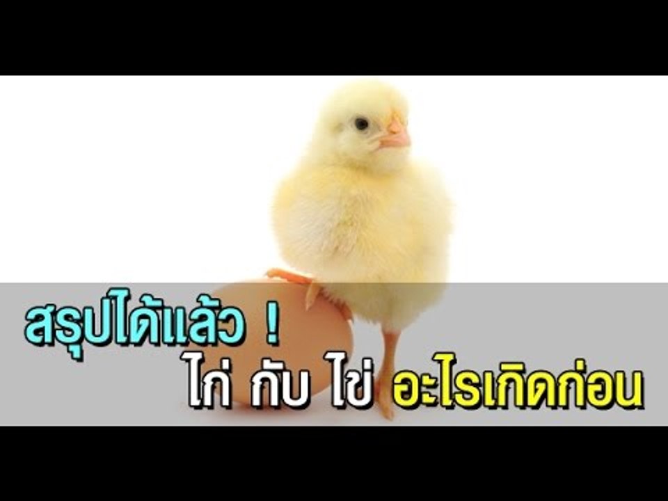 เฉลยไก่กับไข่อะไรเกิดก่อนกัน?? (ปัญหาโลกแตก) สาระน่ารู้ Around The World No.22