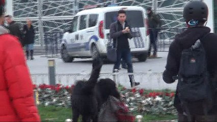 Sokak köpeği ile genç kızın atkı savaşı kamerada