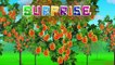 Surprise Eggs Toys Learn Fruits & Vegetables for Kids | ChuChuTV Egg Surprise for Children