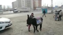 Ağrı'da Eşeğe Binemeyen Çocukların Komik Anları
