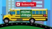 Back to School Episode Best Learning Street Vehicles School Bus Hot Wheels Toy Cars Trucks