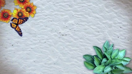 Hereford Sustainable Architect