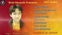 Charkhe Di Ghook | Master Saleem | Punjabi Juke Box | Vital Records Latest 2018