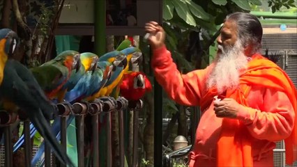 هذا الصباح- أكبر قفص طيور وسيلة هندي لموسوعة غينيس