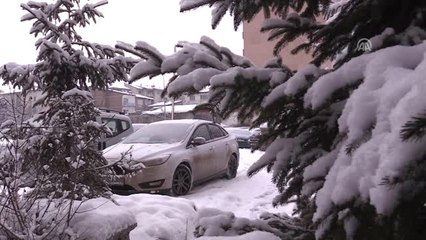 Doğu Anadolu'da Kar Yağışı
