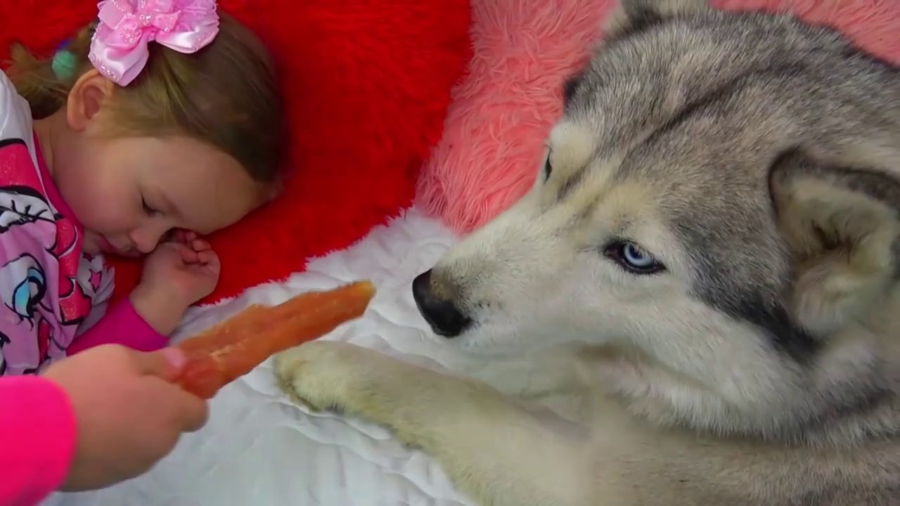 Learn colors with Baby Dolls Are you sleeping song nursery rhymes for children's and babies-h