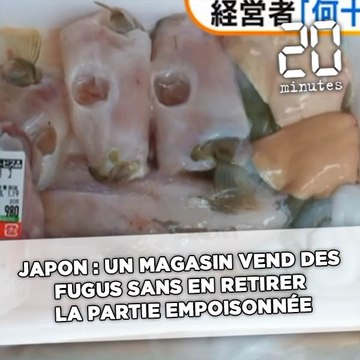 Japon: Un magasin vend des fugus sans en retirer la partie empoisonnée et met la ville en alerte