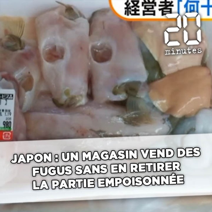 Japon: Un magasin vend des fugus sans en retirer la partie empoisonnée et met la ville en alerte