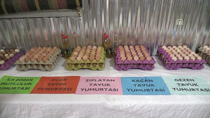 Üç tavukla başladı üç bin tavukluk çiftlik kurdu - UŞAK