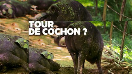 [BA] Terrines, de l'art ou du cochon - 21/01/2018
