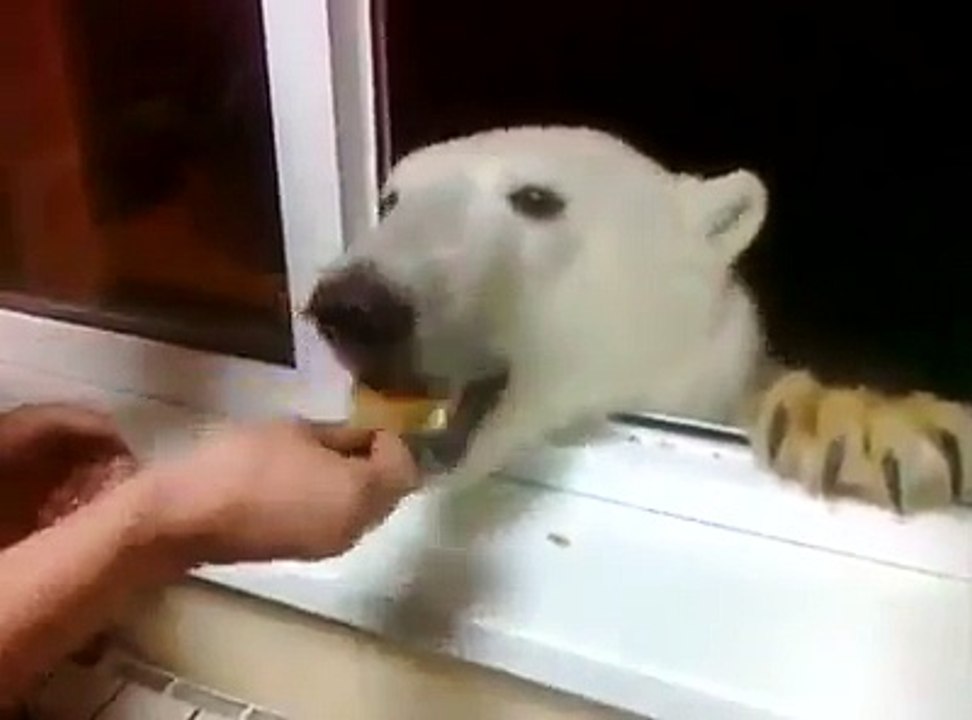 Alaska - Can you do this