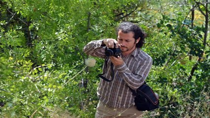 ADÜ’lü  Akademisyen Tunceli’de yeni bir bitki türü keşfetti