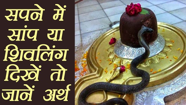 शिव भगवन को सपने में देखने का अर्थ | Meaning of Dreams About Lord Shiva | Boldsky