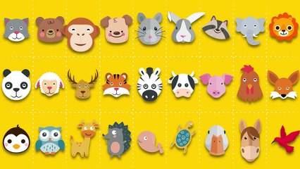 How People See You and Who You Are in Reality 2018