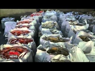 At least 32 starvation deaths reported in Syria, dozens more at risk